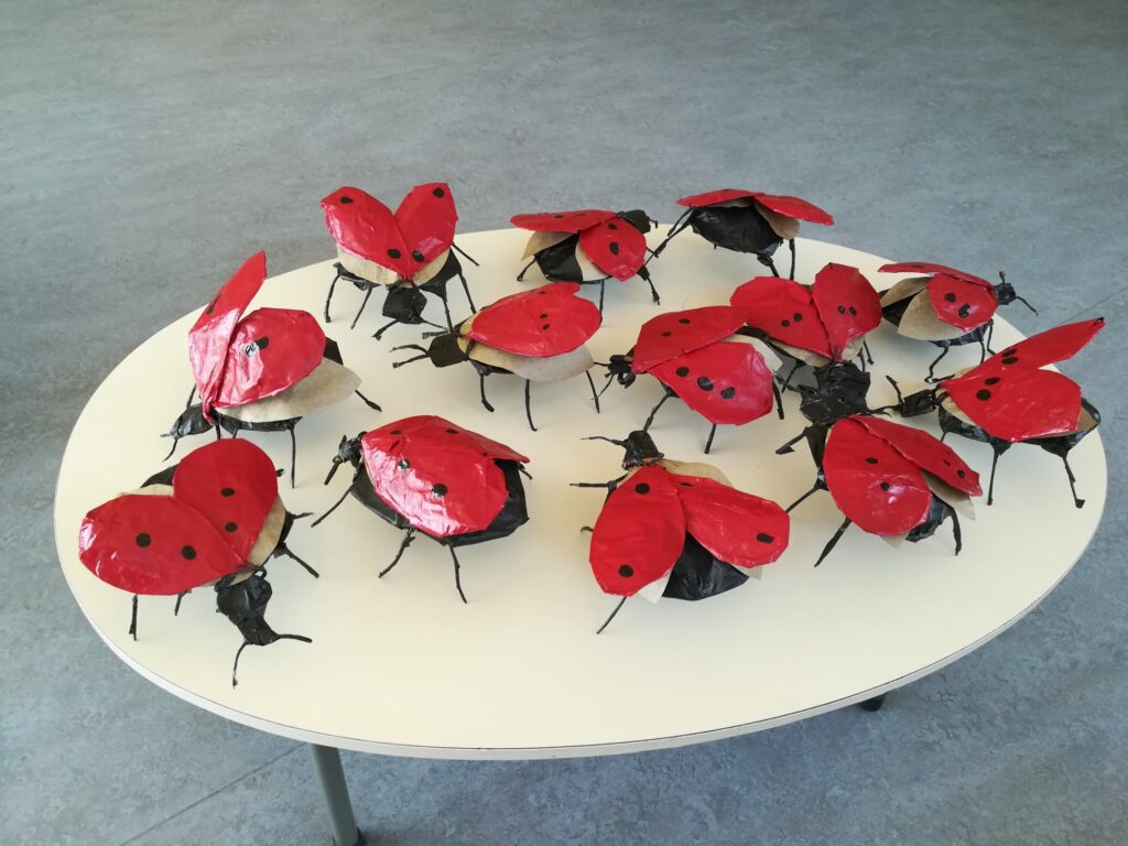 coccinelles réalisées lors d'un atelier réalisé dans une école